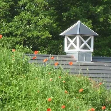 Louisenhof Ferienapartments Und Wellness Burg (Spreewald)