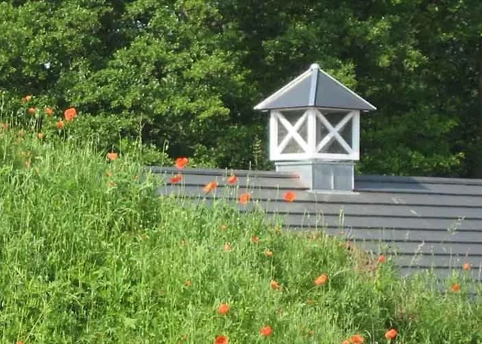 Louisenhof Ferienapartments Und Wellness Burg (Spreewald)